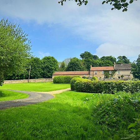 Old Orchard Cottage, Wykeham Scarborough Zewnętrze zdjęcie