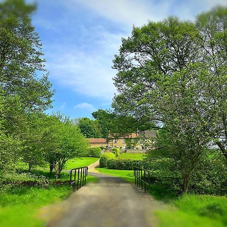 Old Orchard Cottage, Wykeham Scarborough Zewnętrze zdjęcie